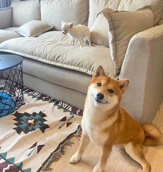 living room of Metris Phatthanakan-Ekkamai