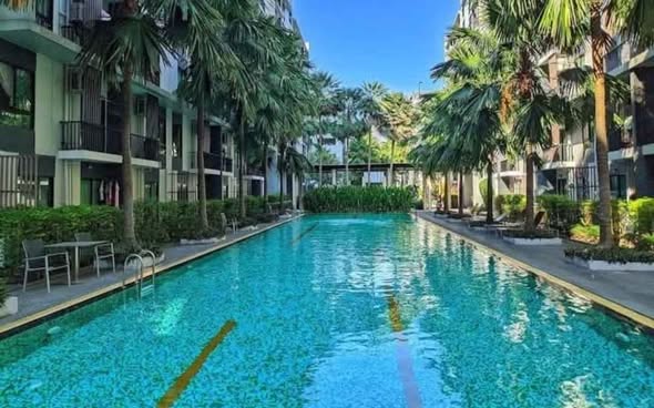 pool of iCondo Sukhumvit 105