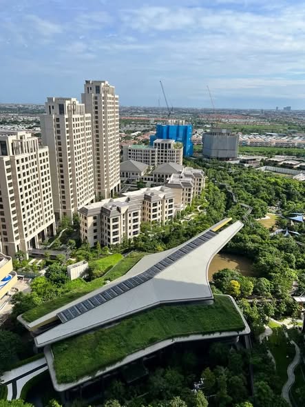 วิสซ์ดอม เดอะ ฟอเรสเทียส์