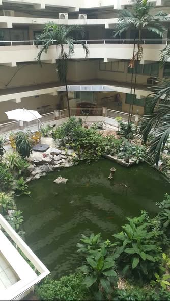 pool of Siam Condominium