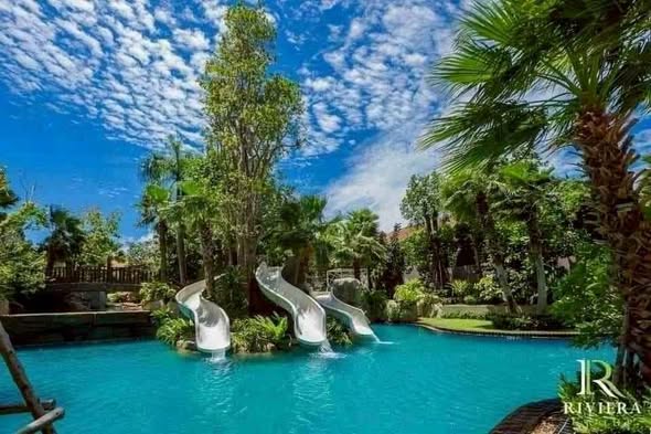 pool of The Riviera Wongamat Beach : เดอะ ริเวียร่า วงศ์อมาตย์ บีช