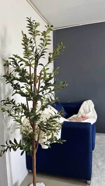 Lanna Nakorn Condominium Building C ลานนานคร คอนโด เชียงใหม่