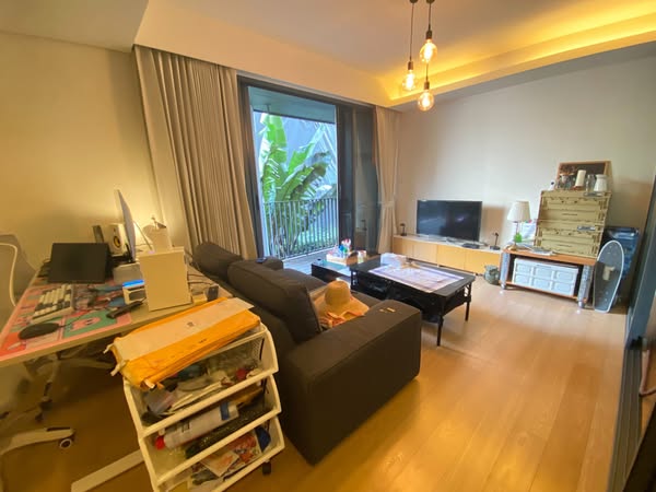 living room of Siamese Gioia