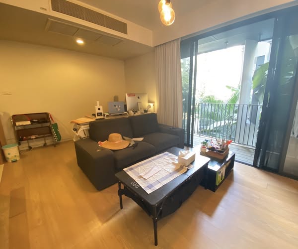 living room of Siamese Gioia