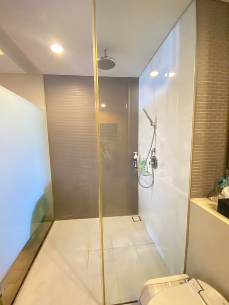 room interior and bathroom of Siamese Gioia