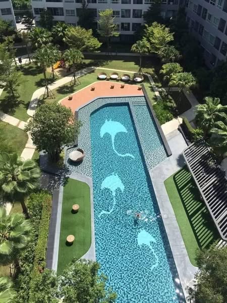 pool of Elio Del Ray