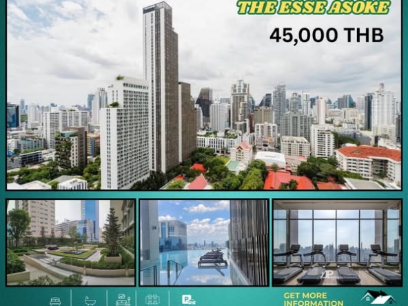 THE ESSE ASOKE