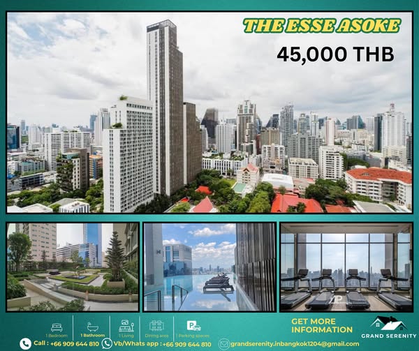 THE ESSE ASOKE