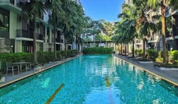pool of iCondo Sukhumvit 105