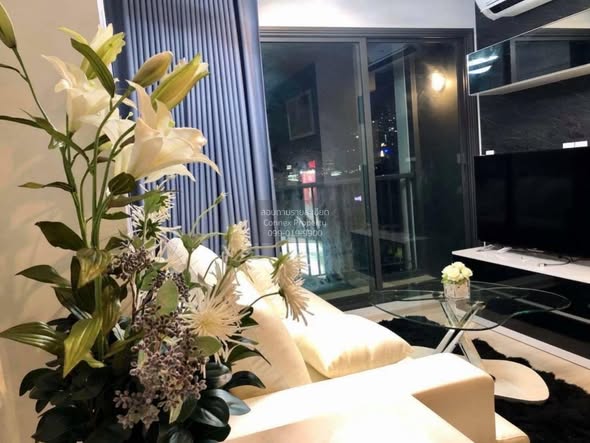 living room of Life One Wireless