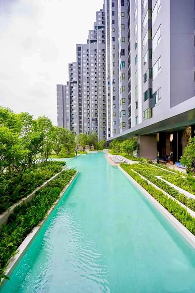 pool of Life Sathorn Sierra ไลฟ์ สาทร เซียร์รา