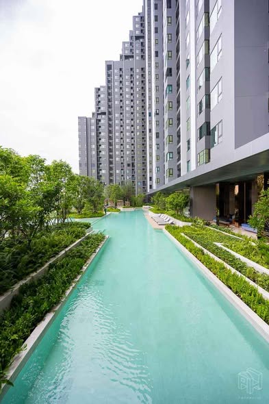 pool of Life Sathorn Sierra ไลฟ์ สาทร เซียร์รา