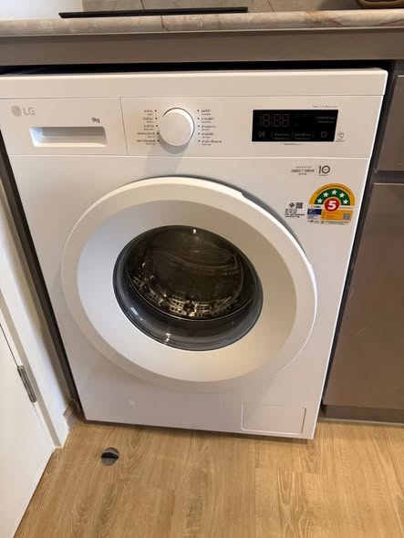 QUINTARA MHy’ZEN PHROM PHONG (ควินทารา มาย’เซน พร้อมพงษ์)