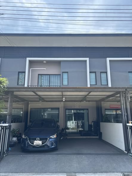 Areeya The Colors 196