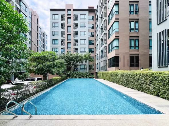 pool of Premio Fresco