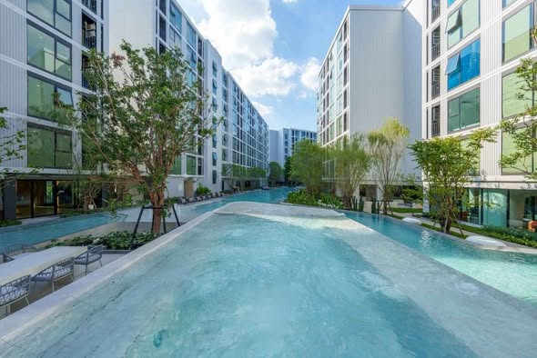 pool of Atmoz Oasis Onnut