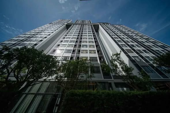 Knightsbridge Kaset Society