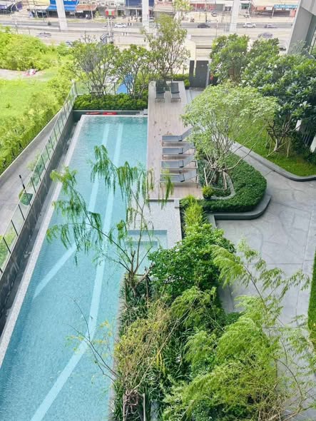 pool of NUE Noble Srinakarin Lasalle นิว โนเบิล ศรีนครินทร์ – ลาซาล