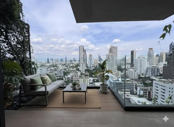 Siamese Exclusive 31