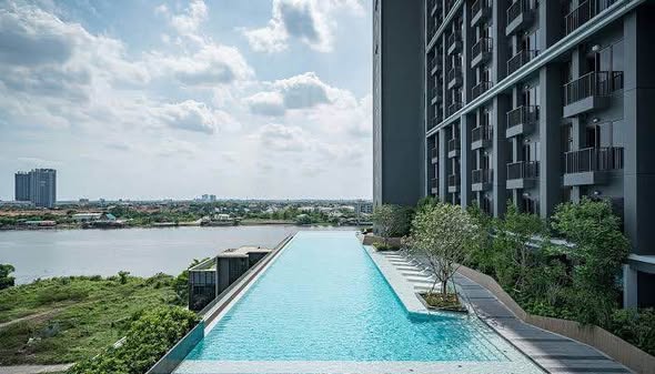 pool of The Politan Aqua