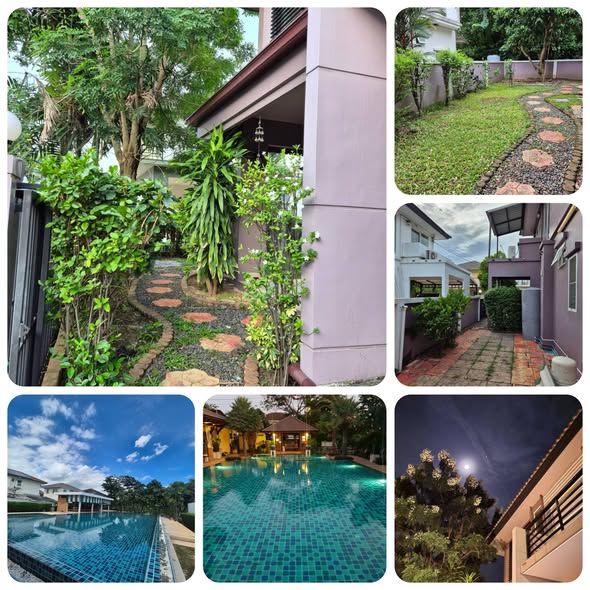 pool of Casa Presto House Wongwan-Pinklao | Q House