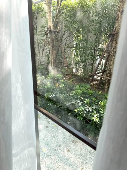 CHAPTER THONGLOR 25