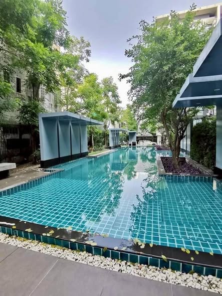 pool of Chateau In Town Sukhumvit 64/1.