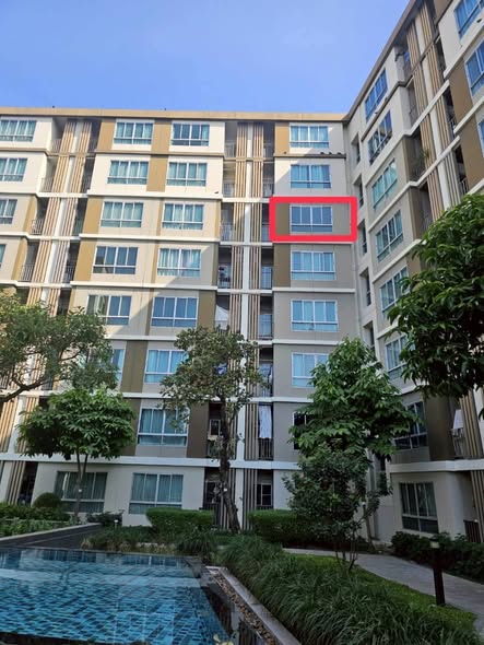 pool of dcondo Campus Resort Rangsit