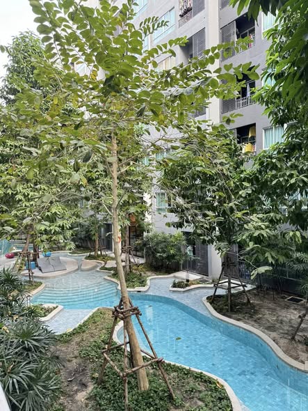 pool of Elio Del Moss Phaholyothin