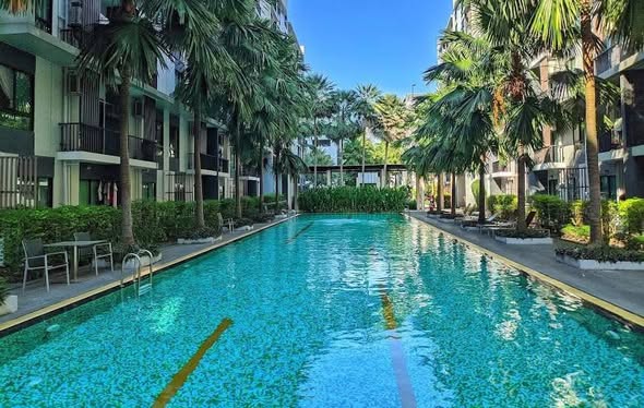 pool of iCondo Sukhumvit 103