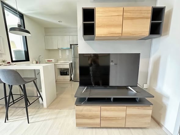 room interior and kitchen of Life Asoke