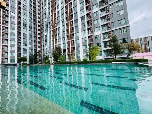pool of Life Pinklao