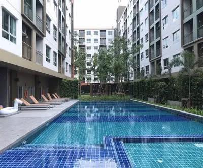 pool of Lumpini Ville Sukhumvit 76-Bearing Station 2