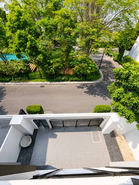 Noble Curve (โนเบิล เคิร์ฟ)