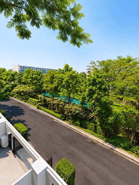 Noble Curve (โนเบิล เคิร์ฟ)