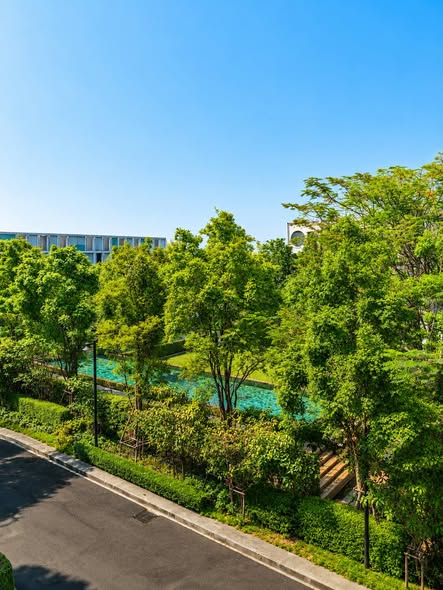 Noble Curve (โนเบิล เคิร์ฟ)