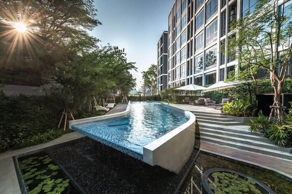 pool of เวรี่ ลาซาล