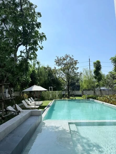 pool of Sena Kith Srinakarin-Sridan เสนาคิทท์ ศรีนครินทร์-ศรีด่าน