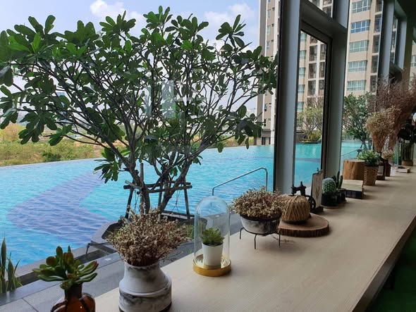 pool of Supalai Veranda Rama 9
