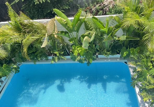The M Pool Villas Bangkok – Ekkamai