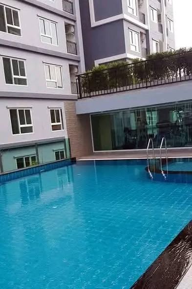 pool of The One Plus D Hua-mark 12
