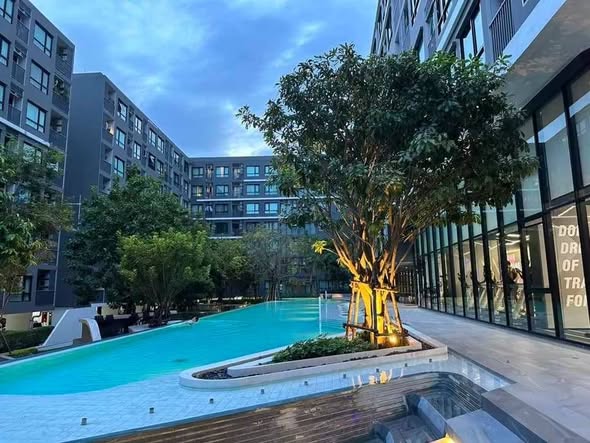 pool of The Origin Sukhumvit 105