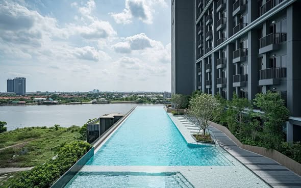 pool of The Politan Aqua