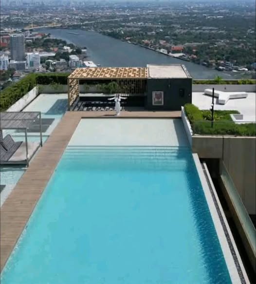 pool of The Politan Rive