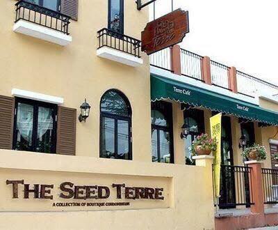 The Seed Terre