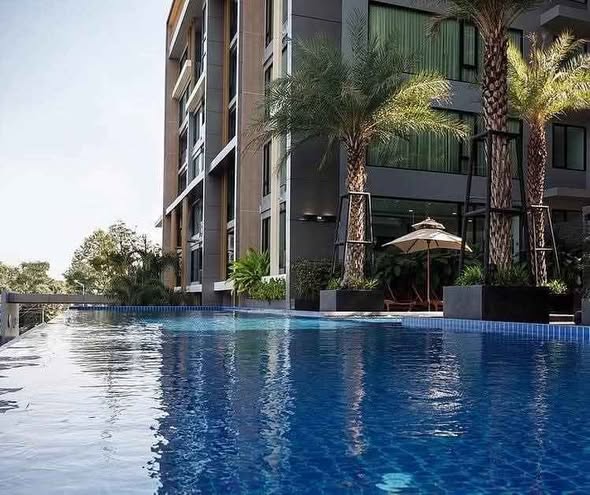 pool of The Starhill Chiangmai