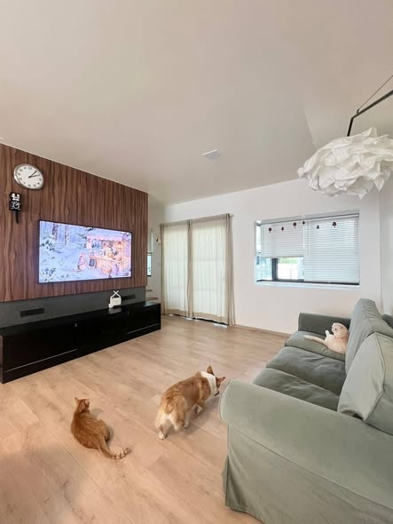 living room of Villaggio 3 Srinakarin-Bangna
