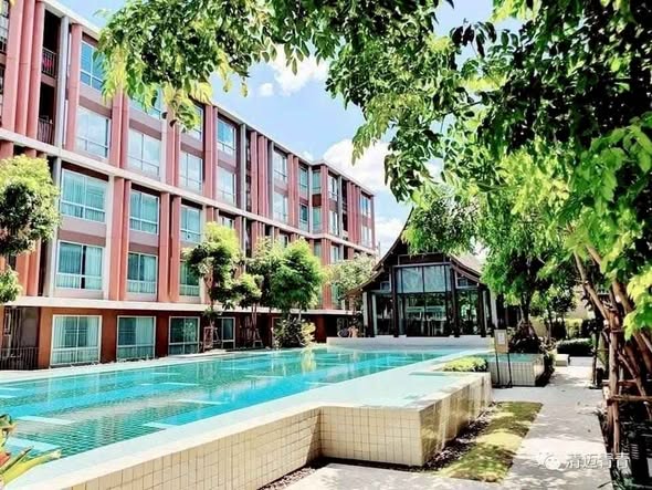 pool of D Vieng Santitham