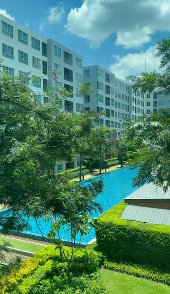 pool of DCondo Nim