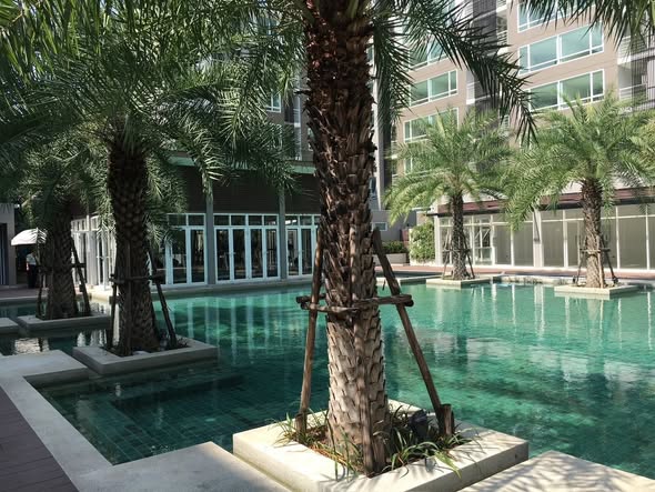 pool of ELEMENTS SRINAGARINDRA CONDO